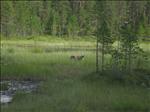Sweden 2006-07 033